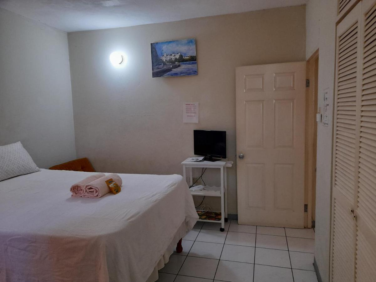 Camelia Rooms คิงส์ตัน ภายนอก รูปภาพ
